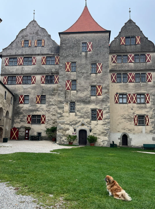  The front of Harburg Castle, dramatic and historic