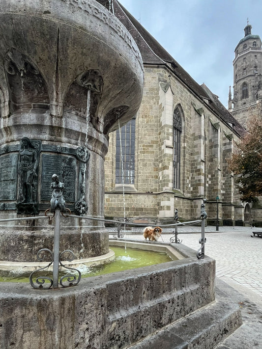 Water fountain in town of Nördlingen city built inside a meteor crater