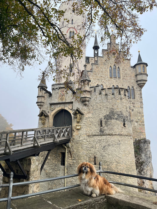 A small but striking castle surrounded by trees and countryside 
