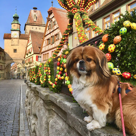Rudi admiring the traditional eggs and ribbons decorating a well
