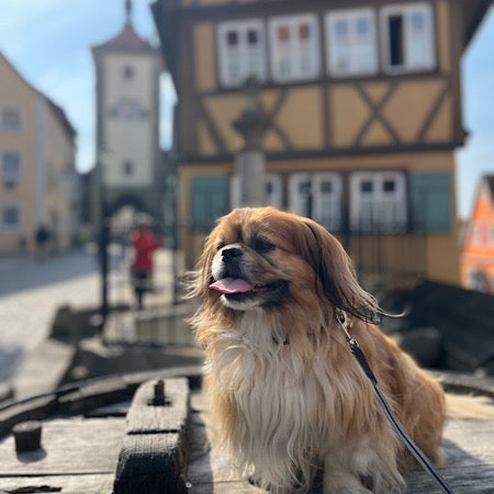 The iconic Plönlein corner in Rothenburg ob der Tauber