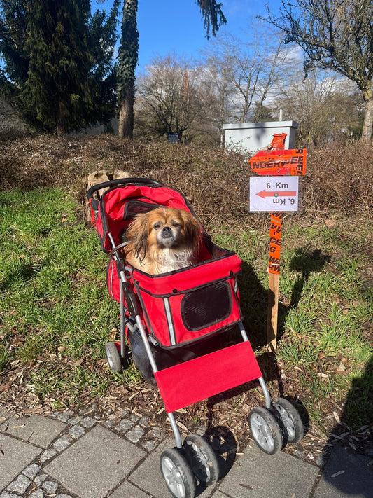 Rudi in stroller, Participants in the 46th Annual Walking Day near Rothenburg