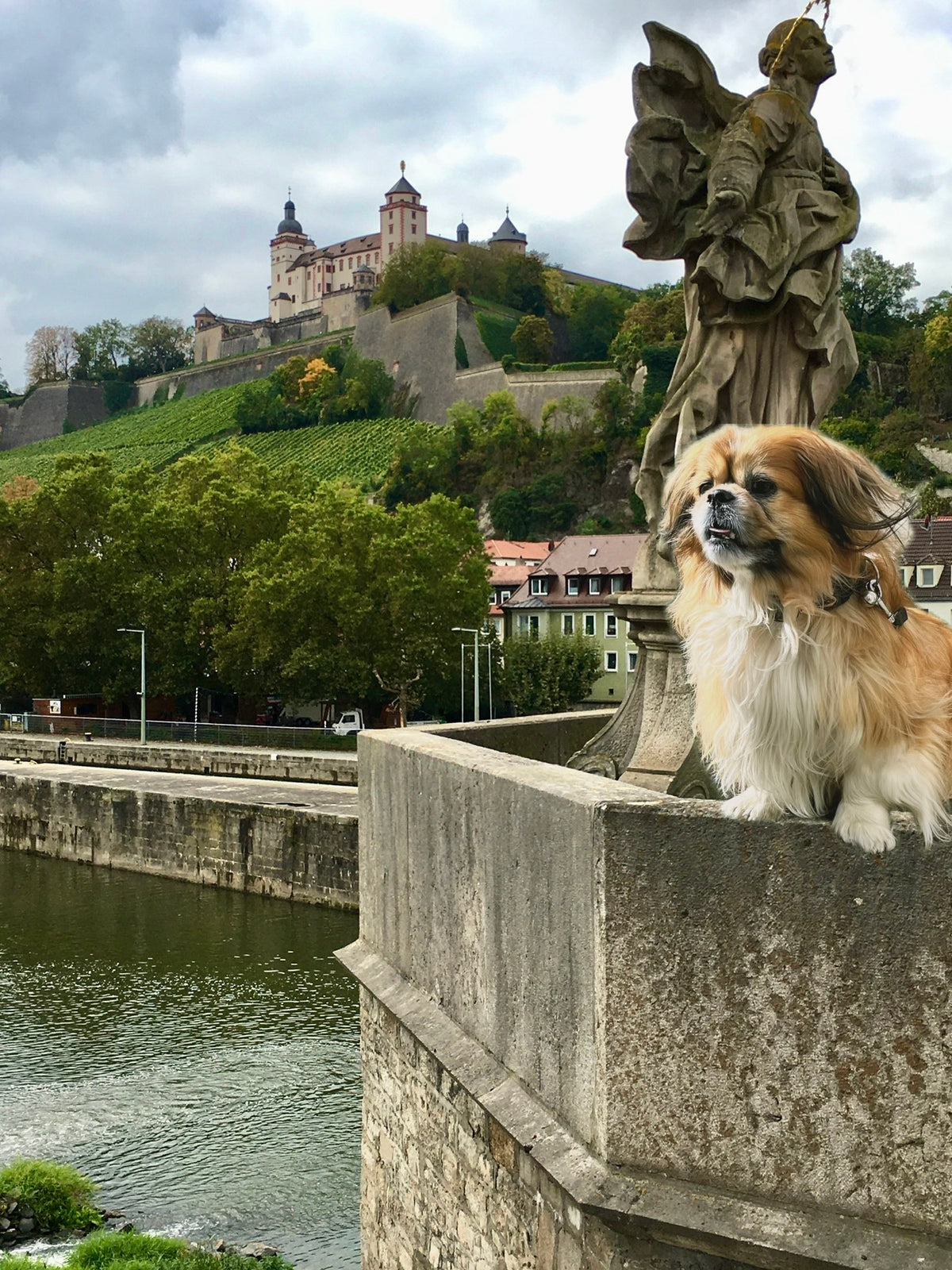 Legend of Würzburg Castle